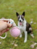 Balle pour chien