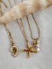 Bord de mer ~ colliers