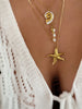 Bord de mer ~ colliers