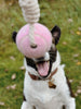 Balle pour chien