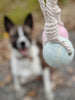 Balle pour chien