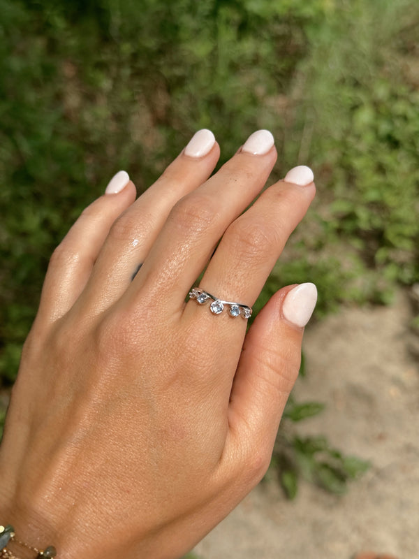 Passion ~ bague