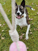 Balle pour chien
