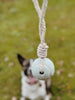 Balle pour chien