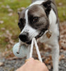 Balle pour chien