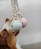 Balle pour chien