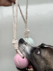 Balle pour chien