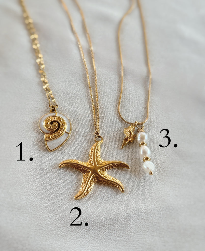 Bord de mer ~ colliers