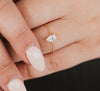 Attraction ~ bague ajustable