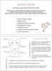 Gua sha quartz rose