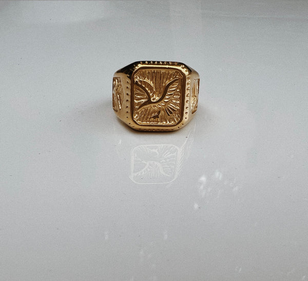 Altitude ~ bague homme