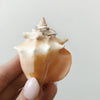 Oceanholic ~ bague