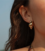 Shell ~ boucles d’oreilles