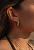 Shell ~ boucles d’oreilles