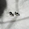Shell ~ boucles d’oreilles