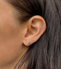Rose ~ boucles d’oreilles