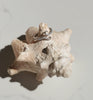 Calypso ~ bague