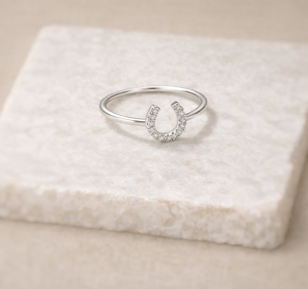 Rodéo ~ bague pré-commande